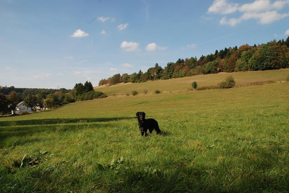 Pension Robin Hood Willingen (Upland) Exterior foto