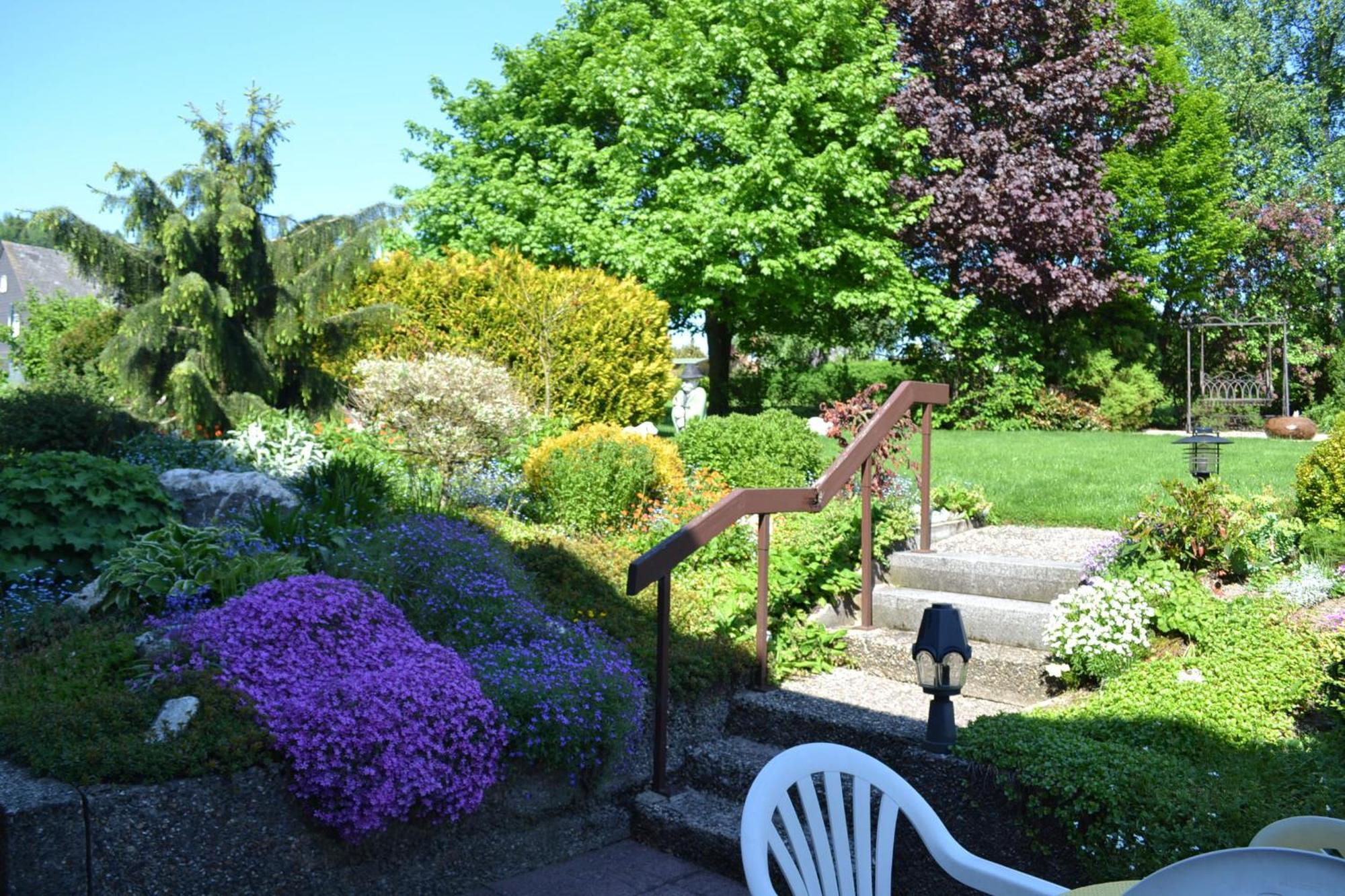 Pension Robin Hood Willingen (Upland) Exterior foto