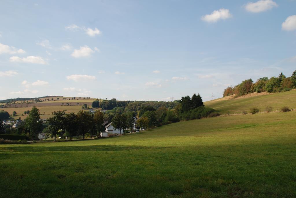 Pension Robin Hood Willingen (Upland) Exterior foto