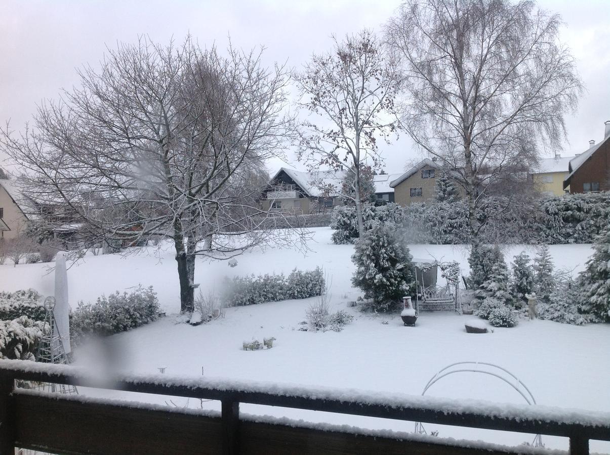 Pension Robin Hood Willingen (Upland) Exterior foto