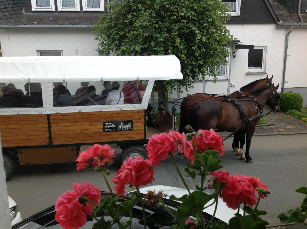 Pension Robin Hood Willingen (Upland) Exterior foto